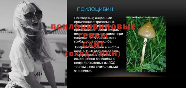 спайс Алзамай