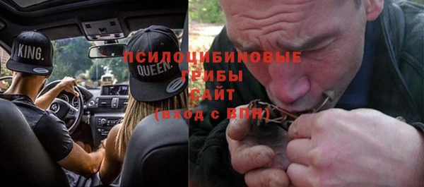 спайс Алзамай