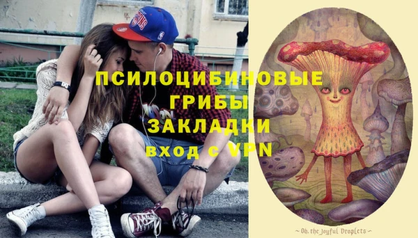 спайс Алзамай