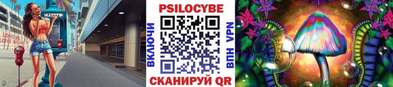 Галлюциногенные грибы Magic Shrooms  Новая Ладога 